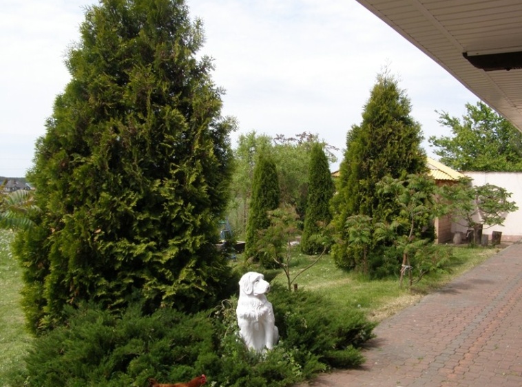 Agroturystyka Motyka ?v=1.0