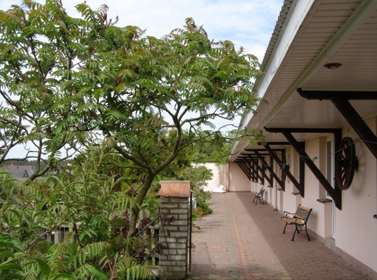 Agroturystyka Motyka ?v=1.0